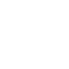 Havanese Havanese