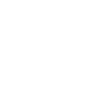 Havanese Havanese