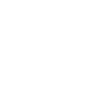 Katze Musik Instrument Klavier Gitarre Geige Flöte