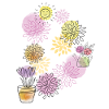 spring pattern