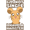 I have a Hamster