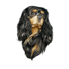 Black and Tan Cavalier
