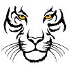 Tiger face