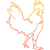 Hen cock illustration