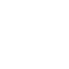 Turtle pet animal sea