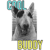 Bull Terrier "Cool Buddy"