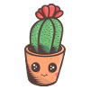 Cactus Mignon