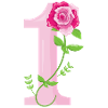 1 NUMBERS
