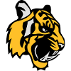 tiger face cartoon mascot 28