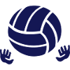 custom volleyball baby prints