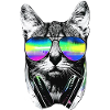 DJ Cat