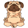 yoga pug pug