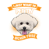 Bichon Frize