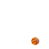 basket-ball