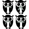 moustache owl