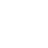 craftsman