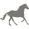 horse