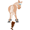 Horse Dung