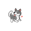 Husky Sibérien