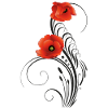 Mohnblumen Mohn Poppy Sommer
