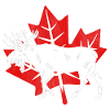 Kanadensisk Elk Kanada Kanada Flaggbladle Leaf