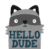 HELLO DUDE