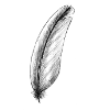pen 2