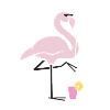 Cool flamingo