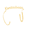 Double bass musician