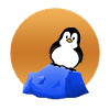 Penguin on the - Penguin on the