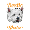 West Highland White Terrier
