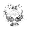 Cool lion design gray