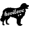 Hovilove Hovawart dog dog owner dog person