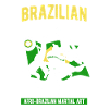 Brazilian Capoeira Afro Art
