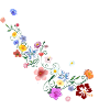 summer flowers