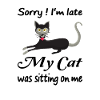 Chat retard temps chat