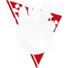 Planète de cactus en blanc