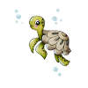 cute turtle