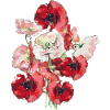 Poppies