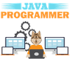 Java Programmer