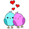 Love Birds - Les oiseaux d'amour