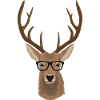 Hirsch Glasses