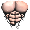 Rumpfmuskel Bodybuilder Körper Bauchmuskeln