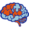 Brain brain 712