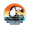 Toucan