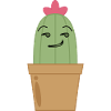 Cactus ambigu Humour Drôle
