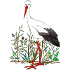 cigogne
