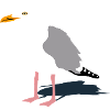 mouette port mer
