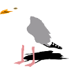 mouette port mer