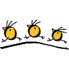 3 oiseaux bizarres - V2